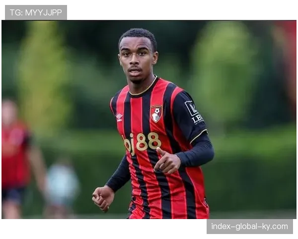 伯恩茅斯克里斯蒂与克鲁皮点射 中前场配合制造威胁